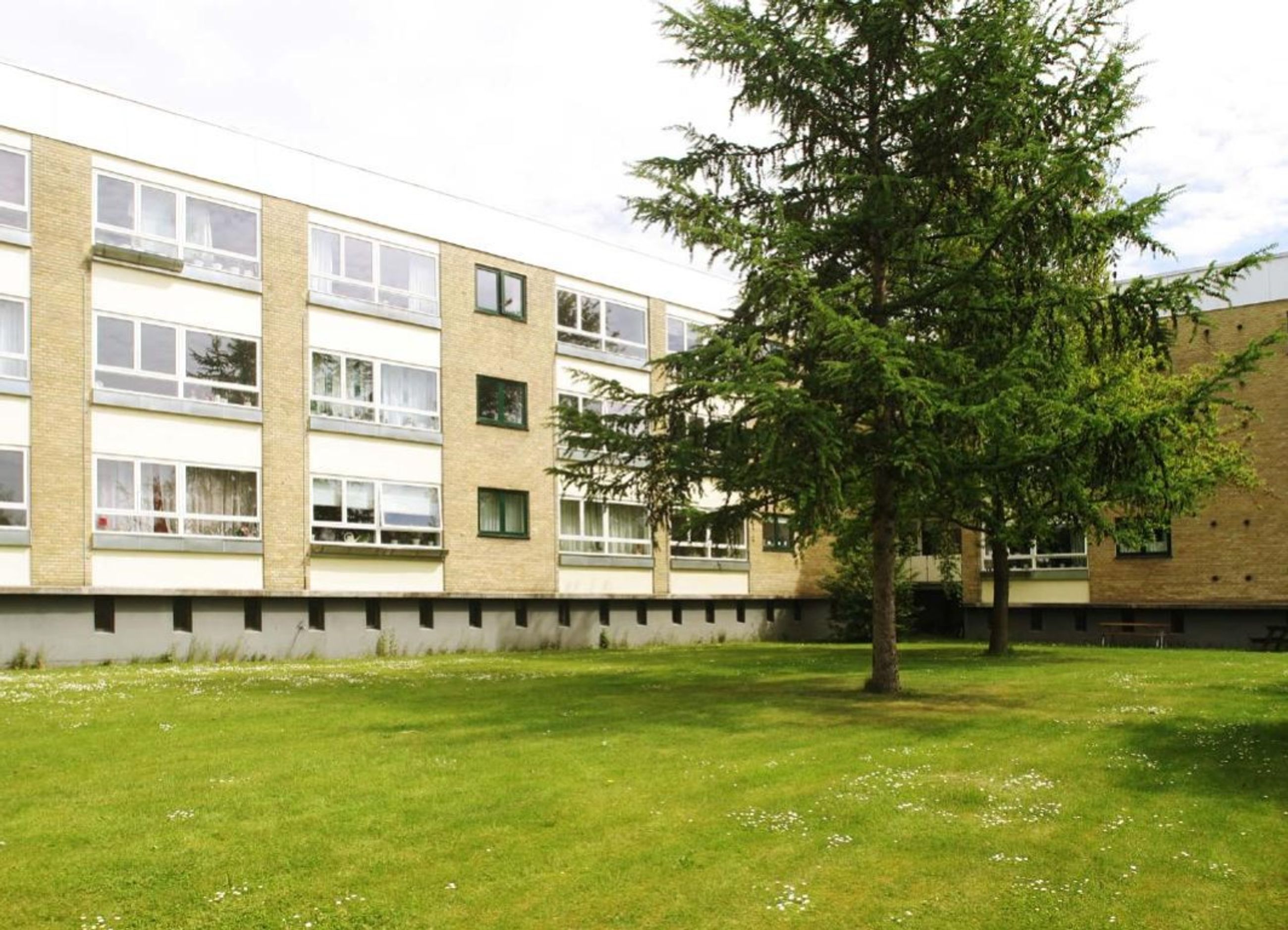 Rødovre Parkvej 243, 2. th. Ejerlejlighed