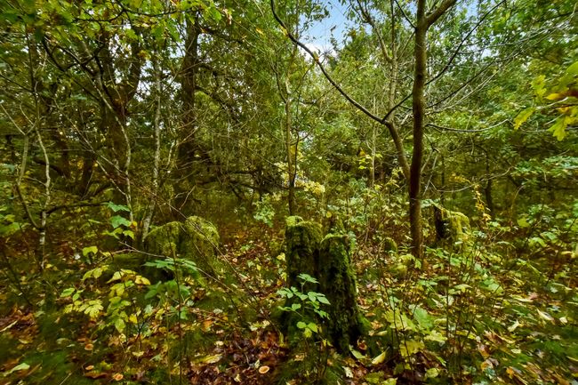 Skovbrynet 133,  Vesterlund