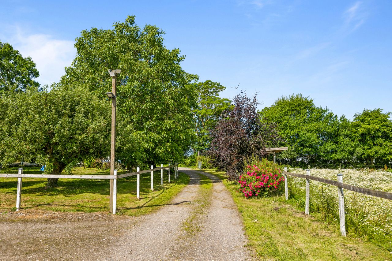 Ejendomsbillede 2 af 45