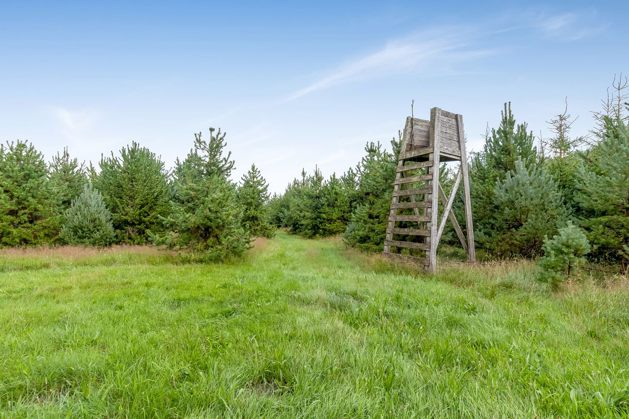 Ejendomsbillede 3 af 44