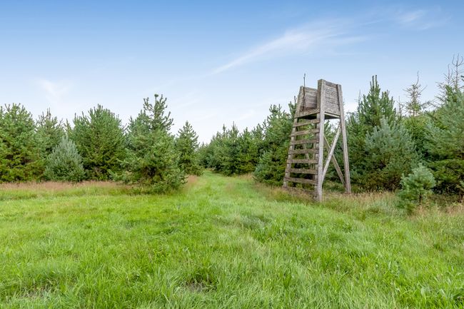 Lindholtvej 1A,  Tvis