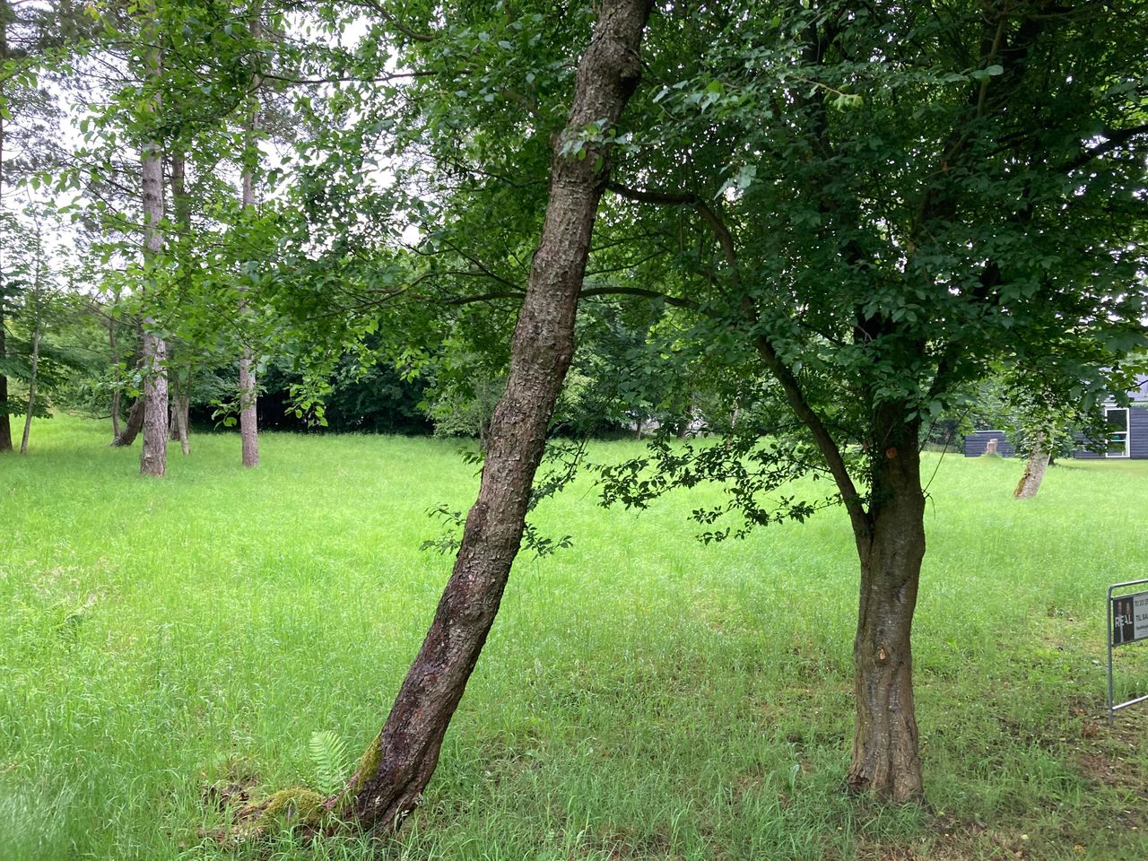 Ejendomsbillede 2 af 5