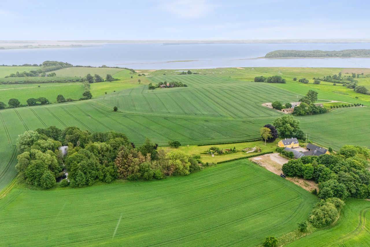 Ejendomsbillede 3 af 44