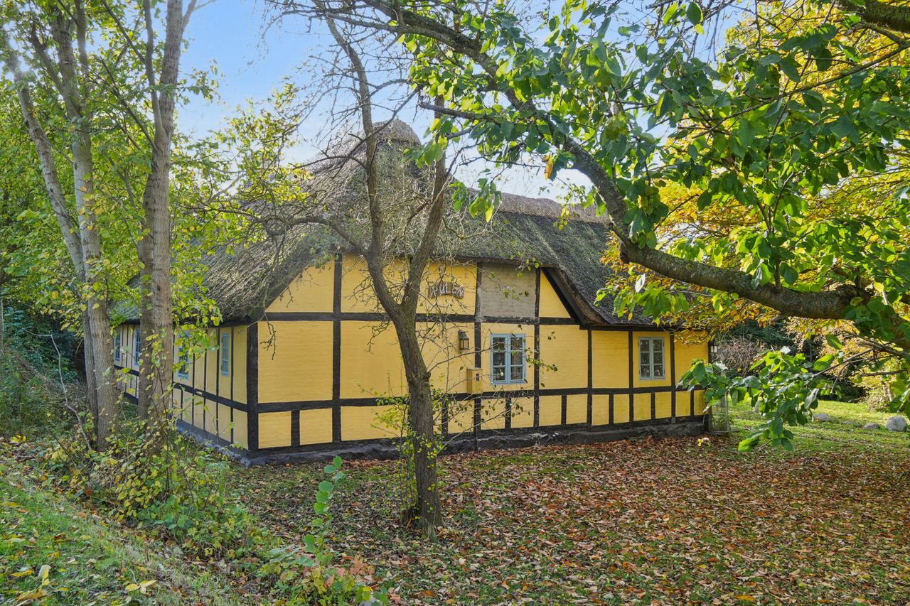 Ejendomsbillede 2 af 25