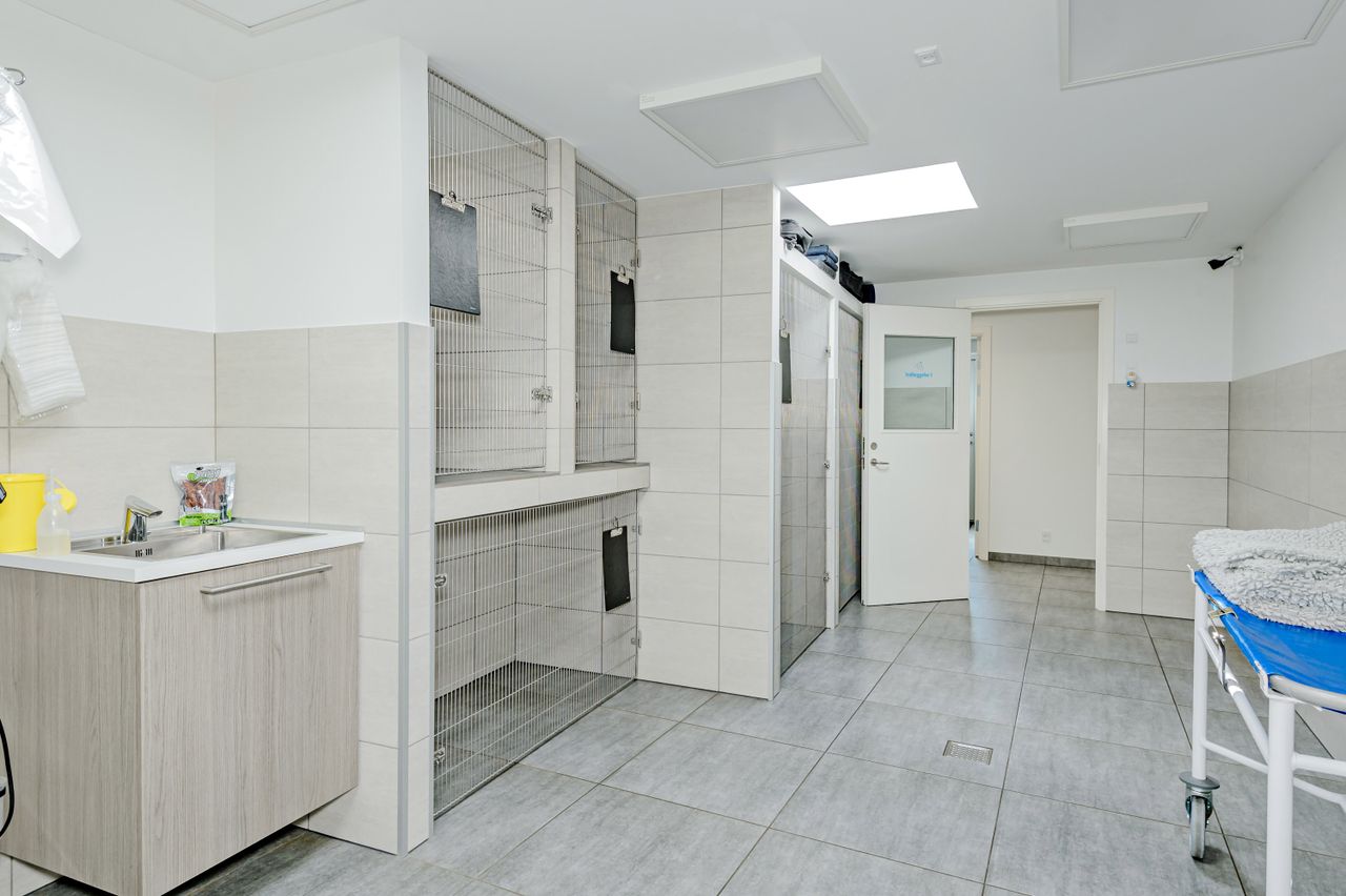 Ejendomsbillede 3 af 17