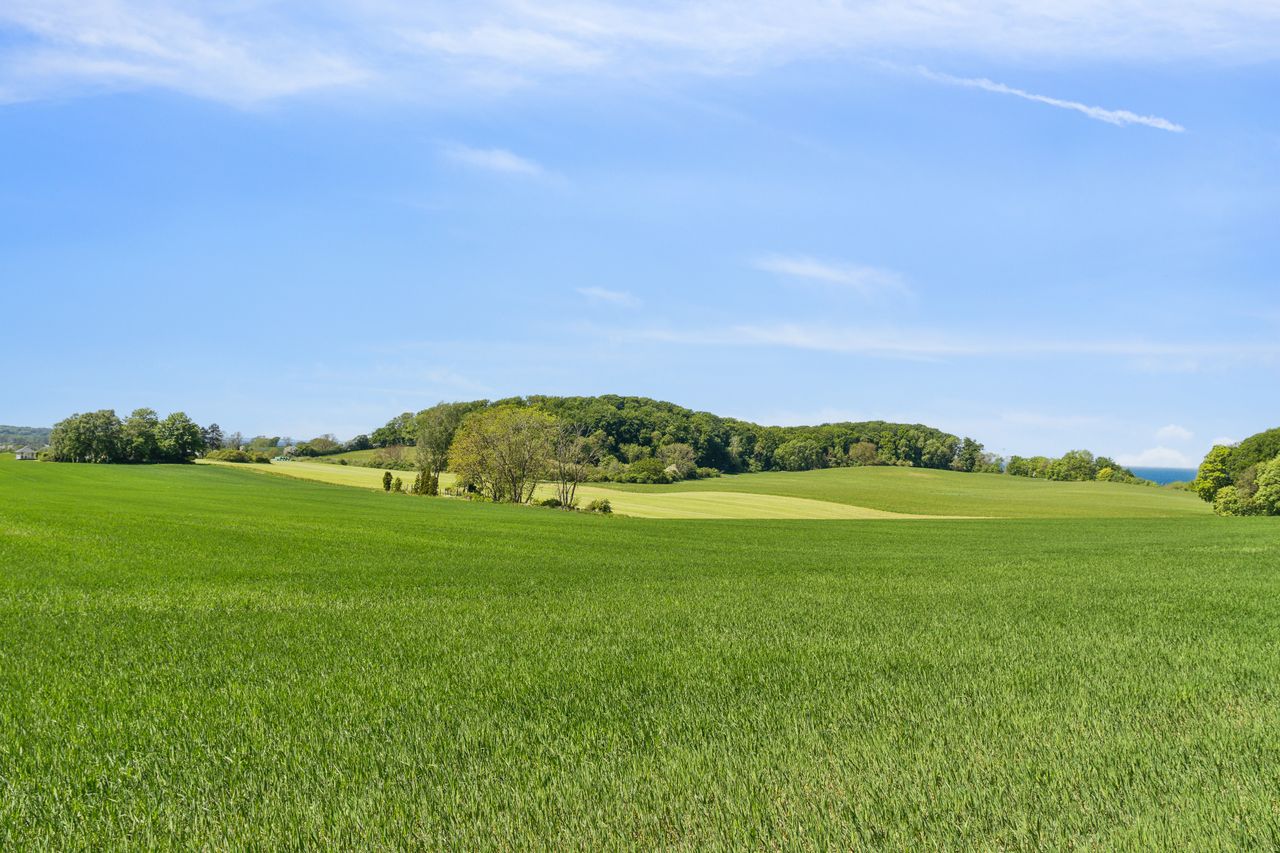 Ejendomsbillede 3 af 39