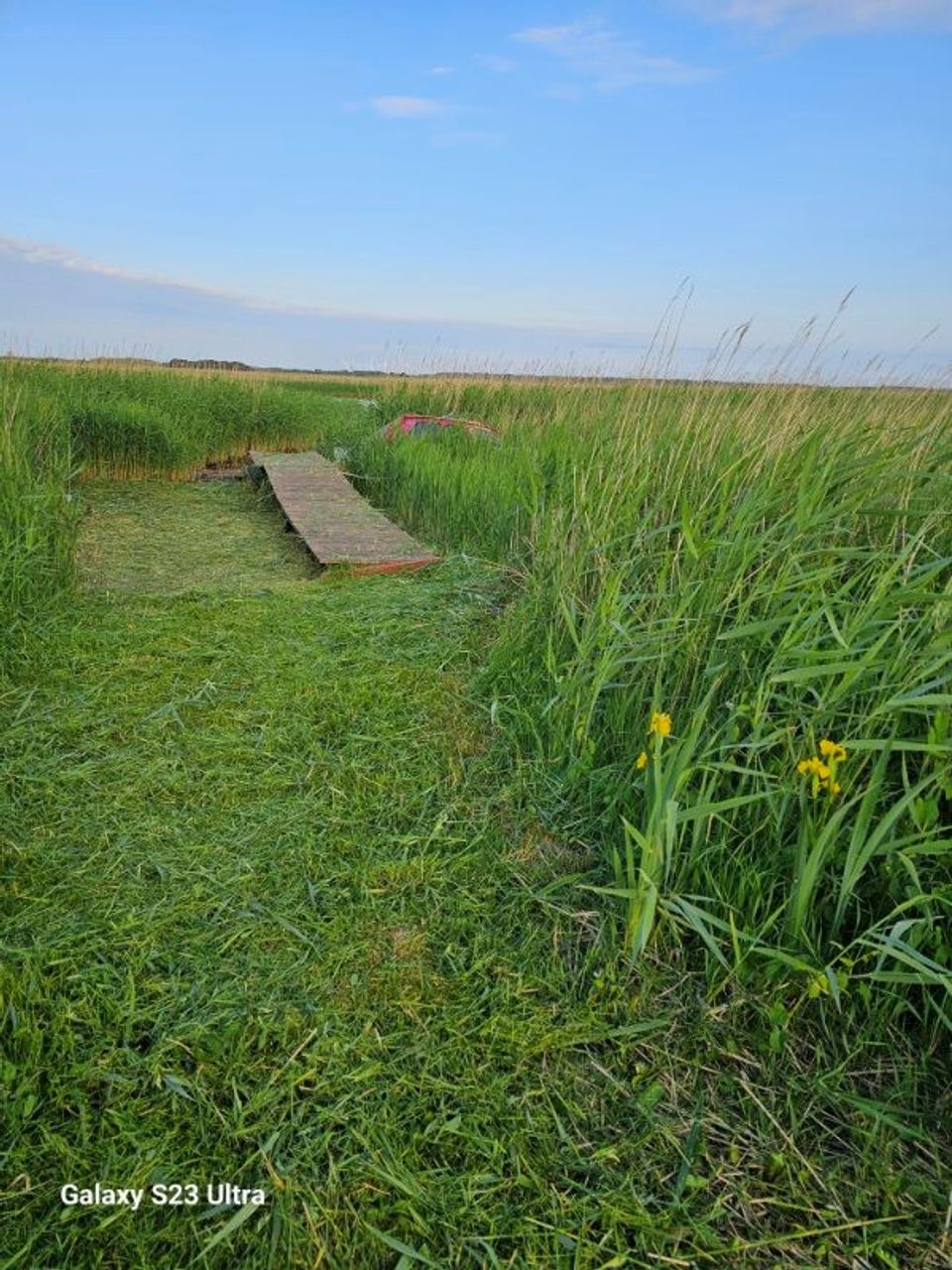 Ejendomsbillede 3 af 29