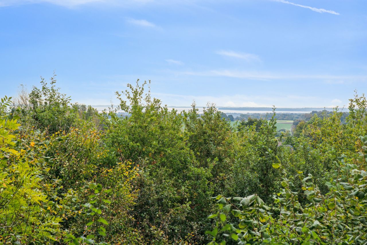 Ejendomsbillede 2 af 50