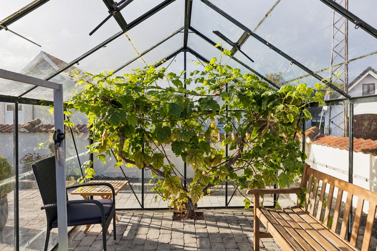 Ejendomsbillede 2 af 25