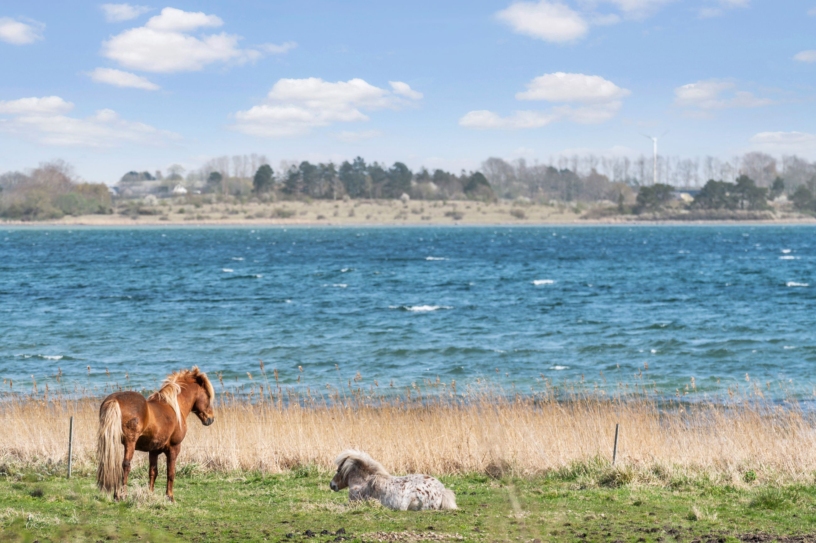 Annebergparken 46A, 1. th, Nykøbing Sj - 38-Omraade.jpg