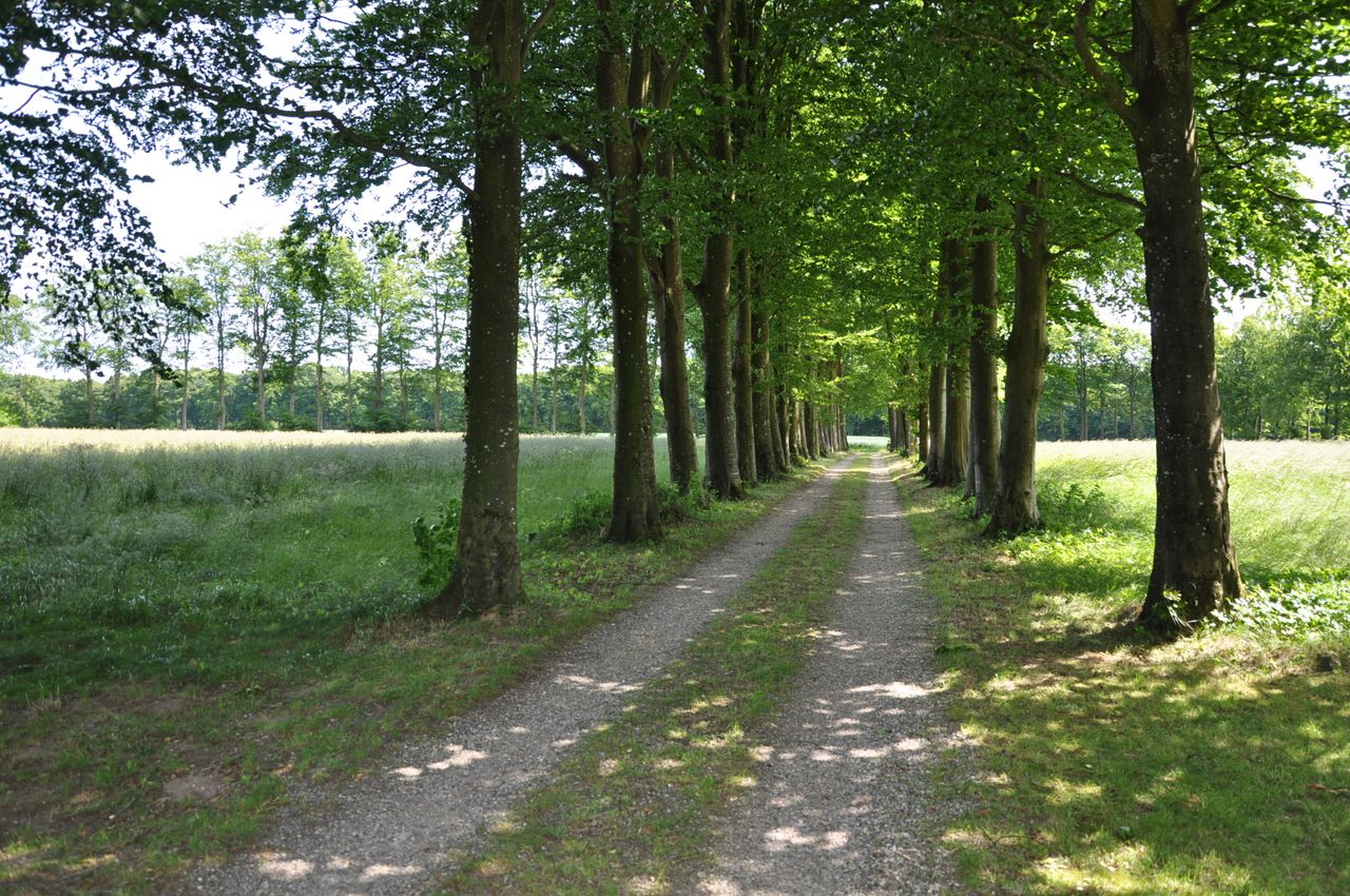 Ejendomsbillede 3 af 36