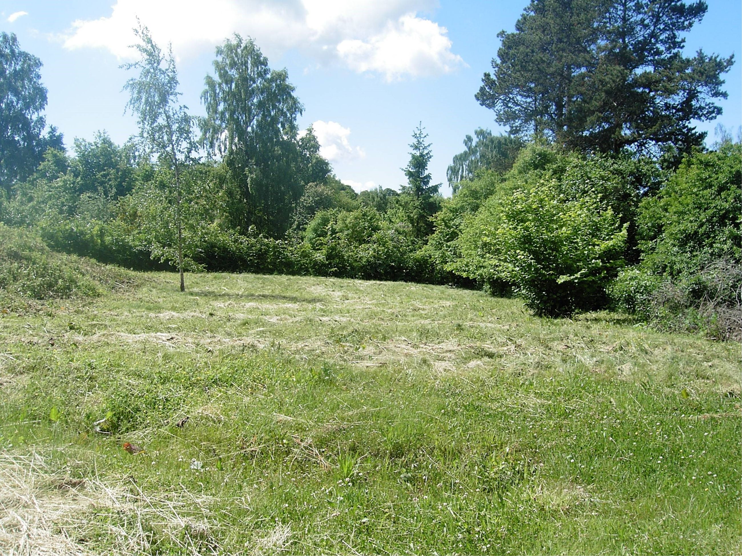 Hindbærvej 9 Grund
