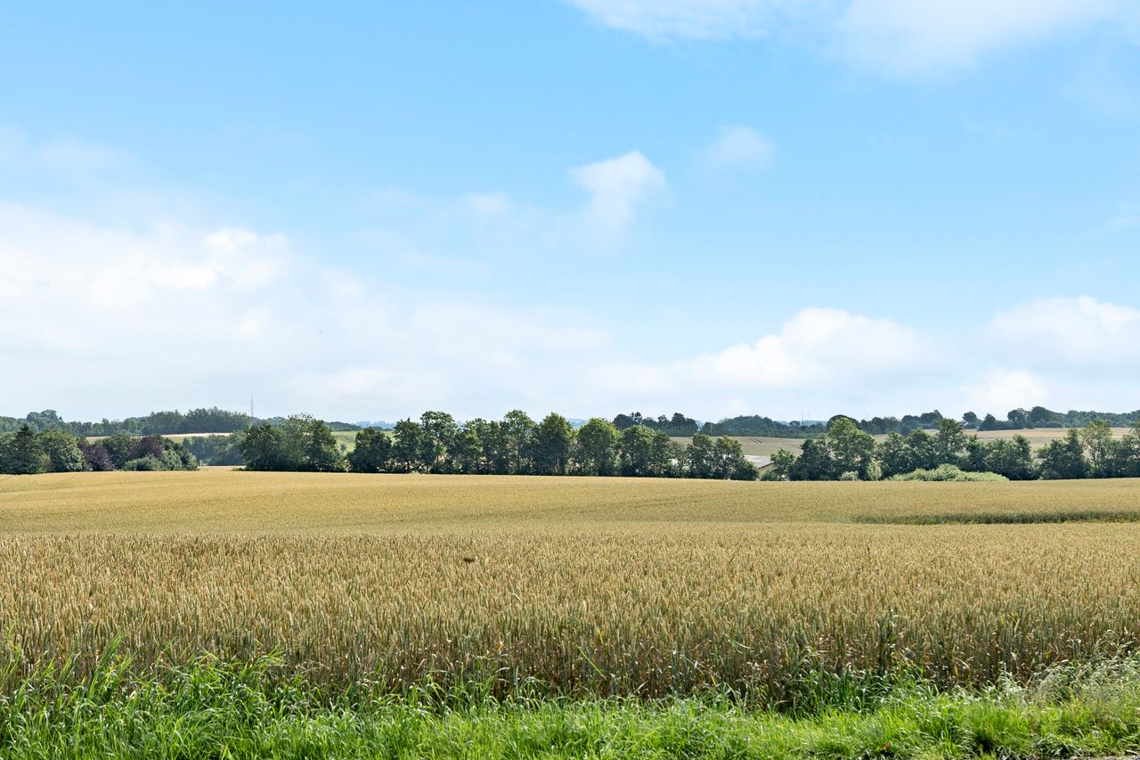 Ejendomsbillede 2 af 21