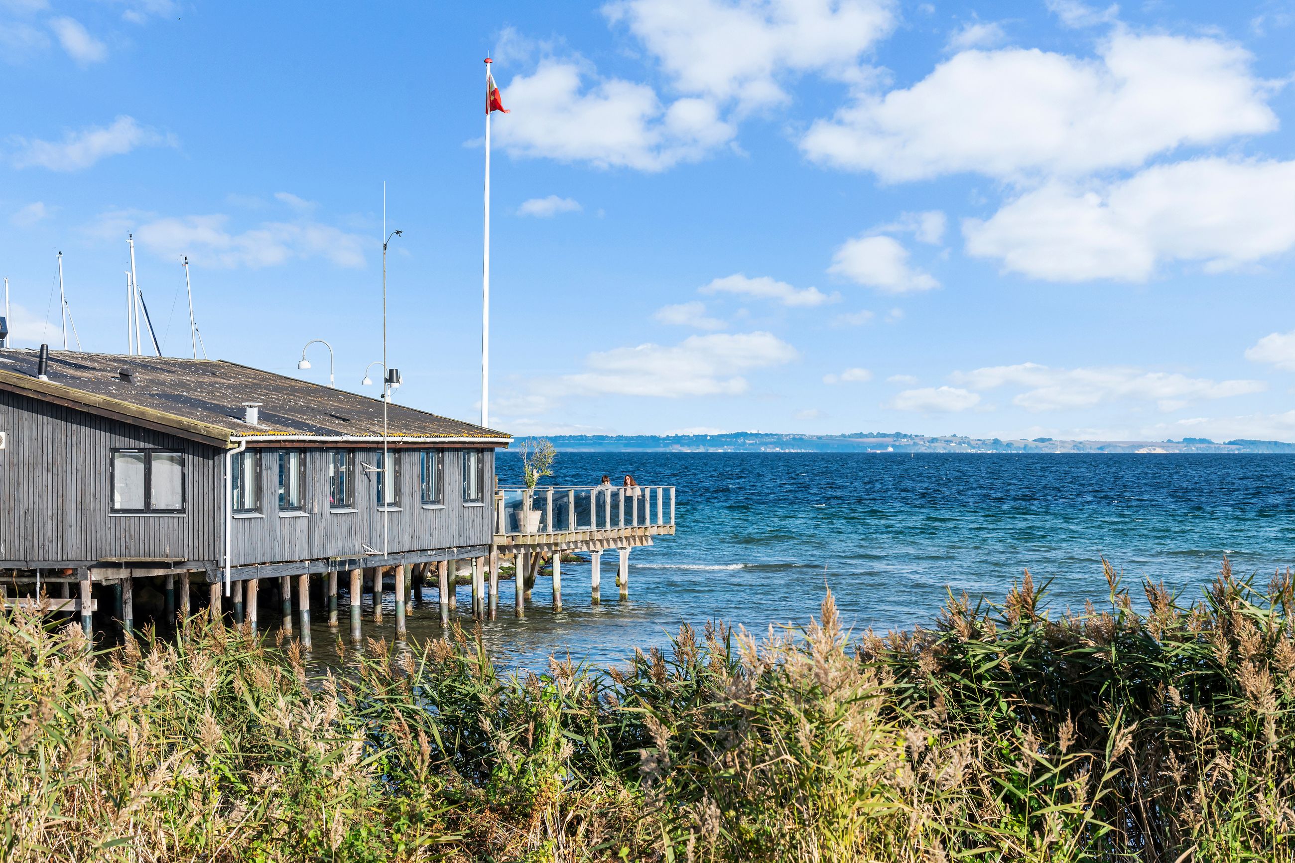 Humlebæk Strandvej 131, Humlebæk - Område