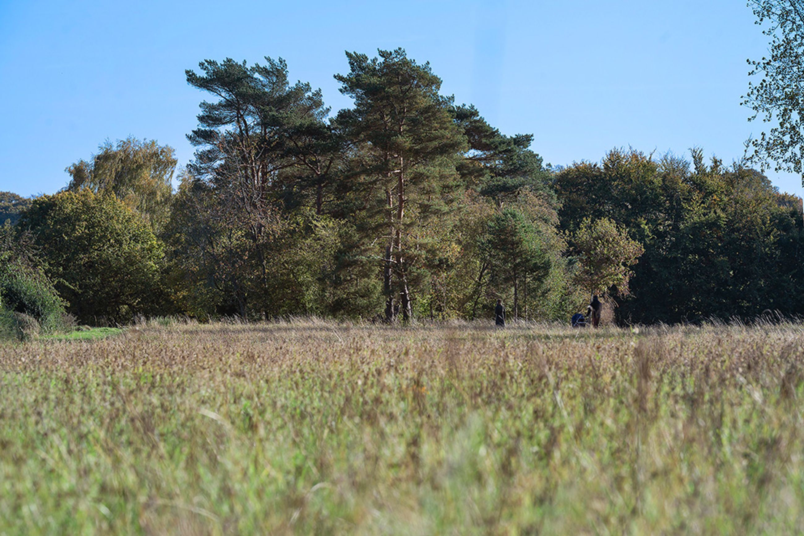 Ørnebakken 48, Gl Holte, Holte - 66-Omraade