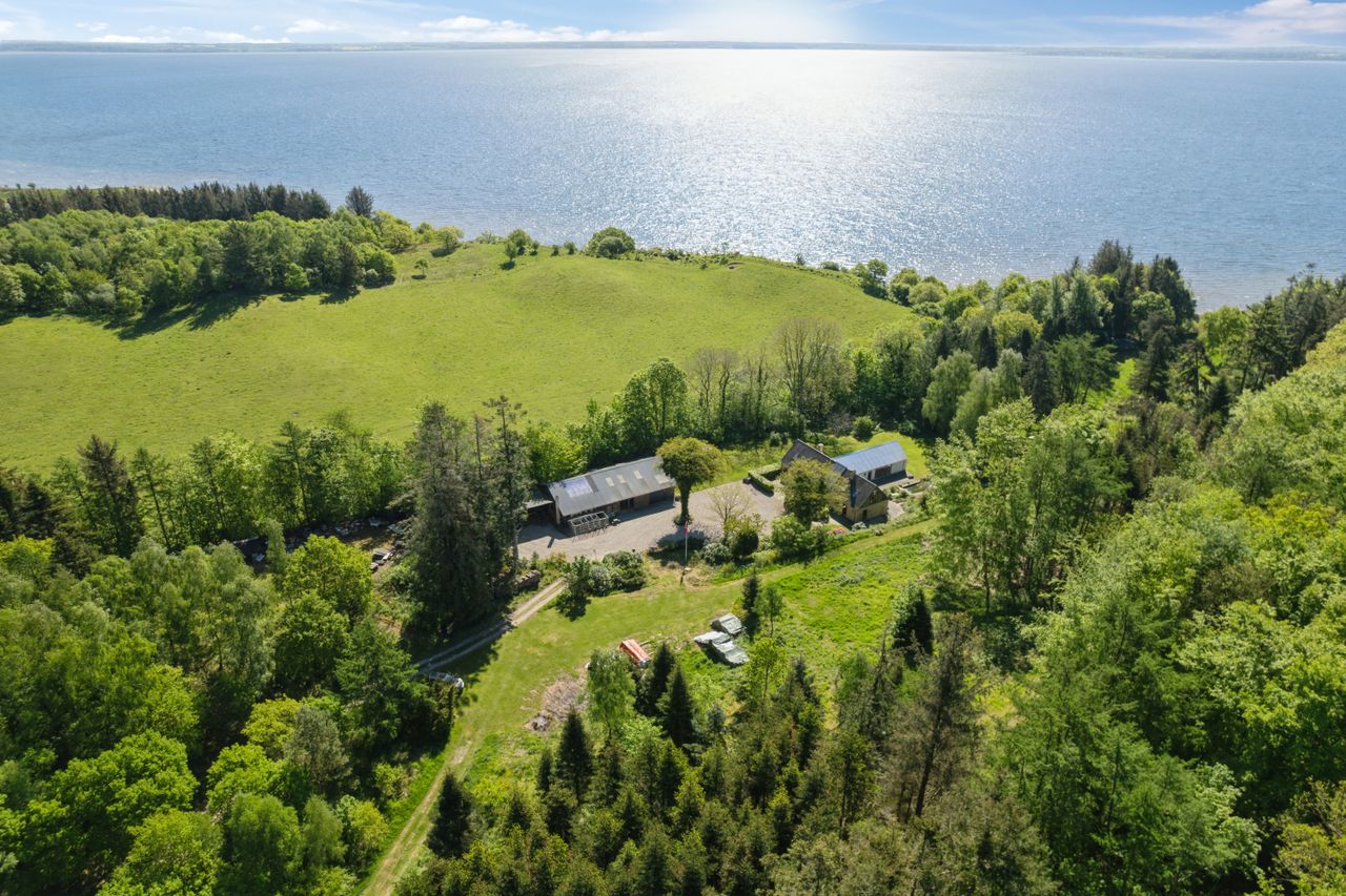 Ejendomsbillede 2 af 59