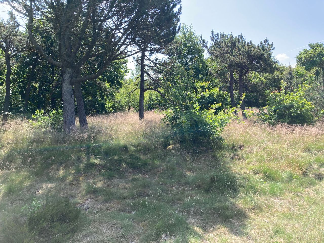 Ejendomsbillede 3 af 6