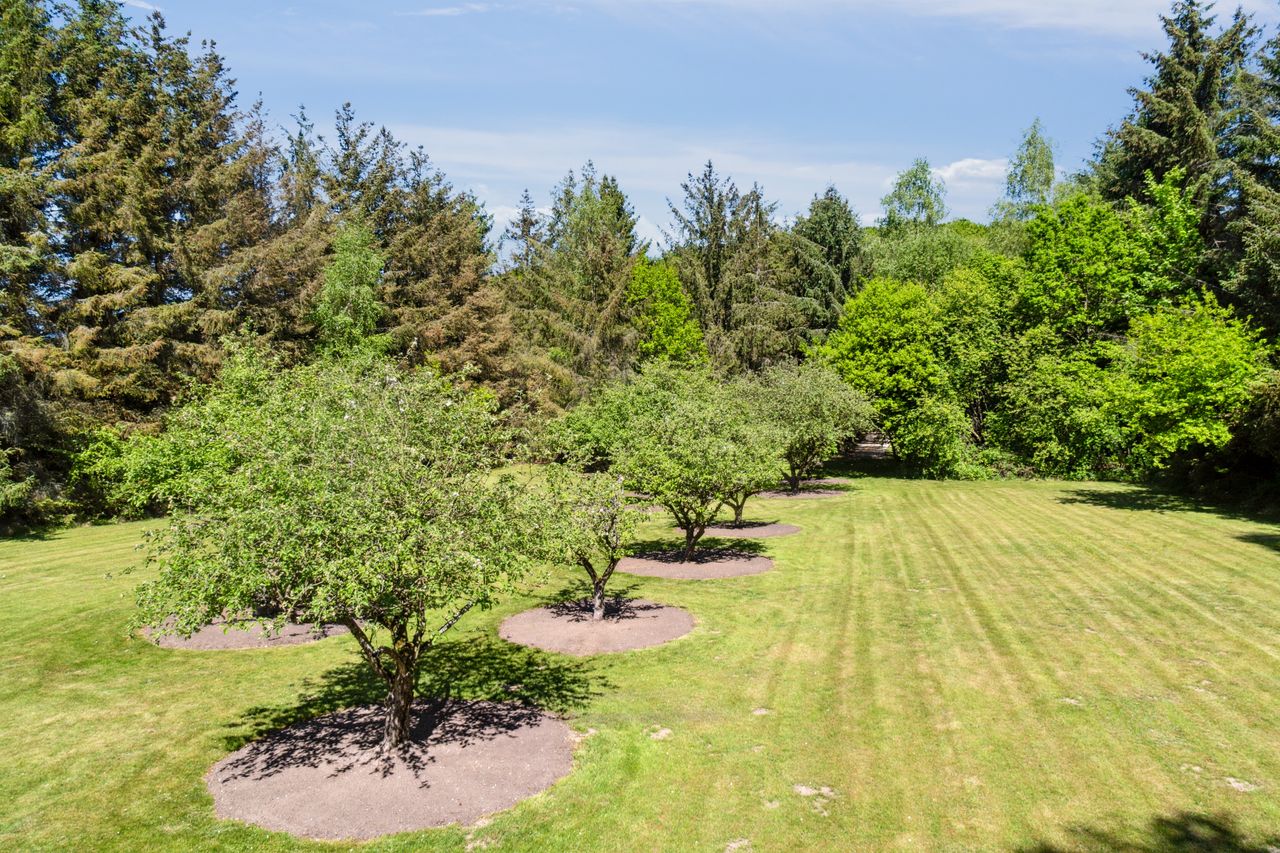 Ejendomsbillede 2 af 10