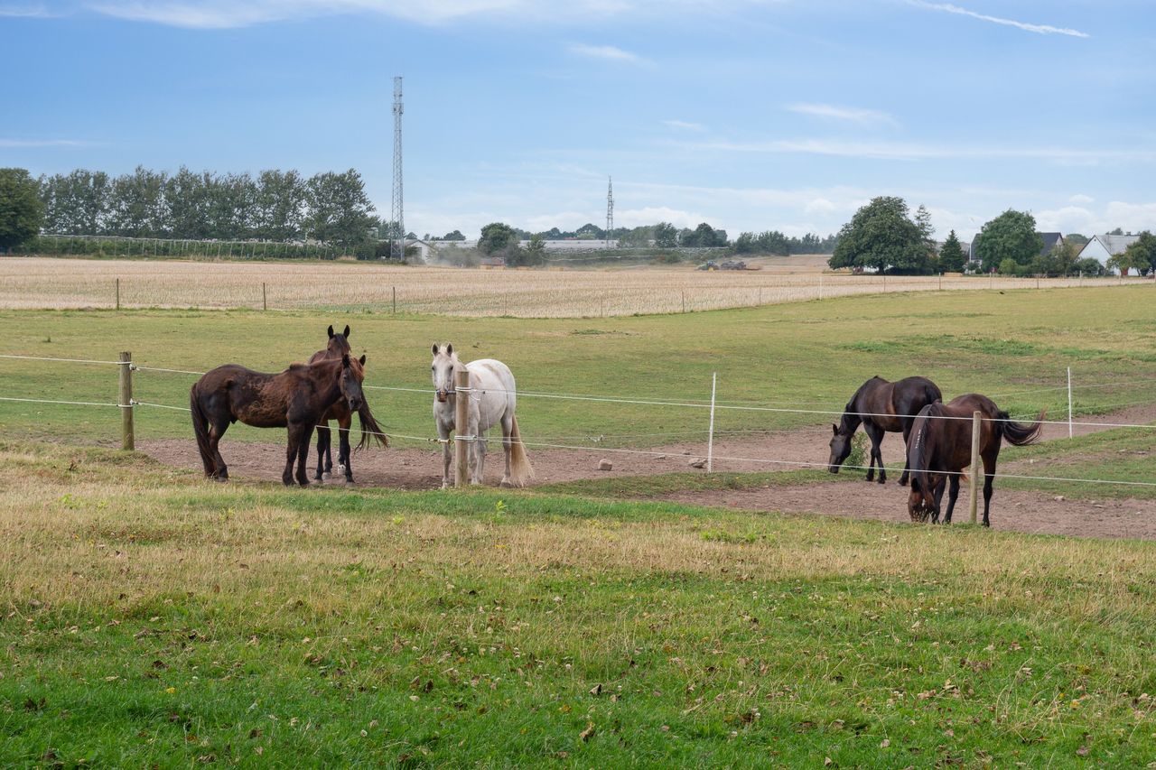 Ejendomsbillede 2 af 51