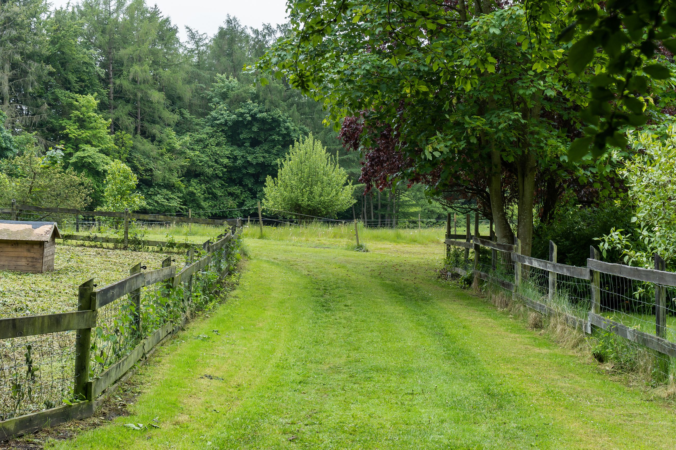 Ørholmvej 61, Kongens Lyngby - DSC04017.jpg