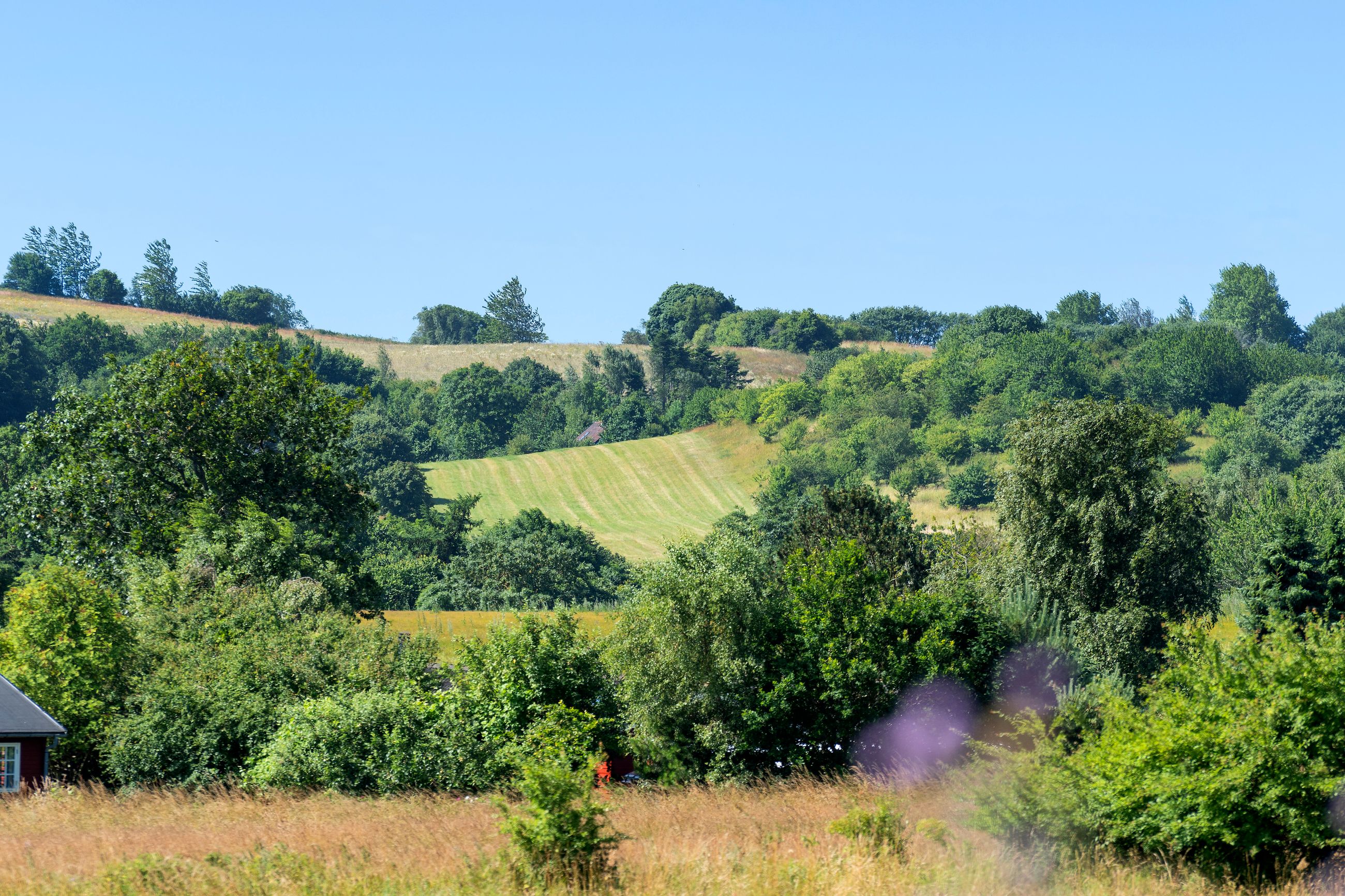 Nissestien 1B, Kårup, Fårevejle - Område
