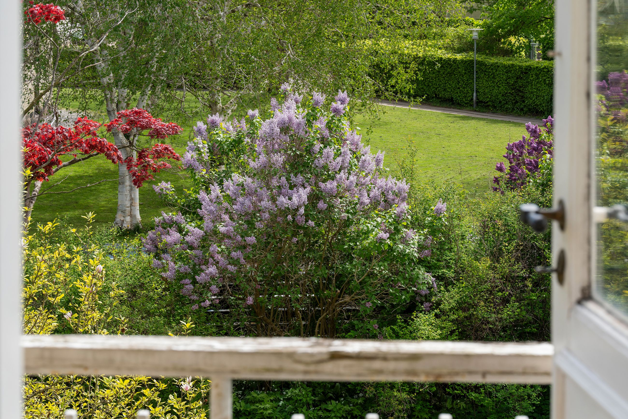 Margrethevej 10, Hellerup - Område