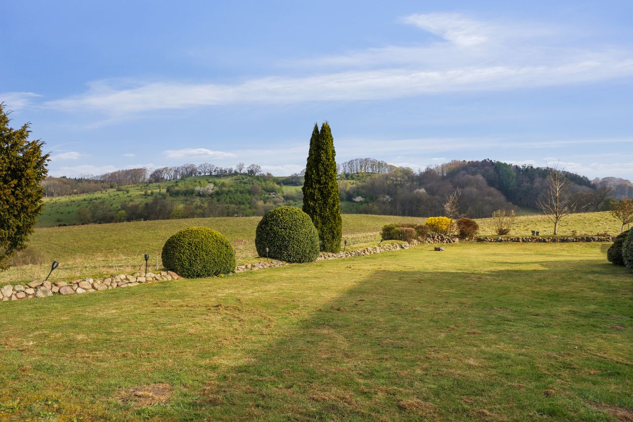 Ejendomsbillede 3 af 43