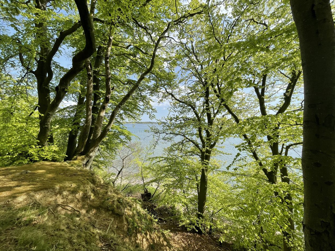 Ejendomsbillede 3 af 27