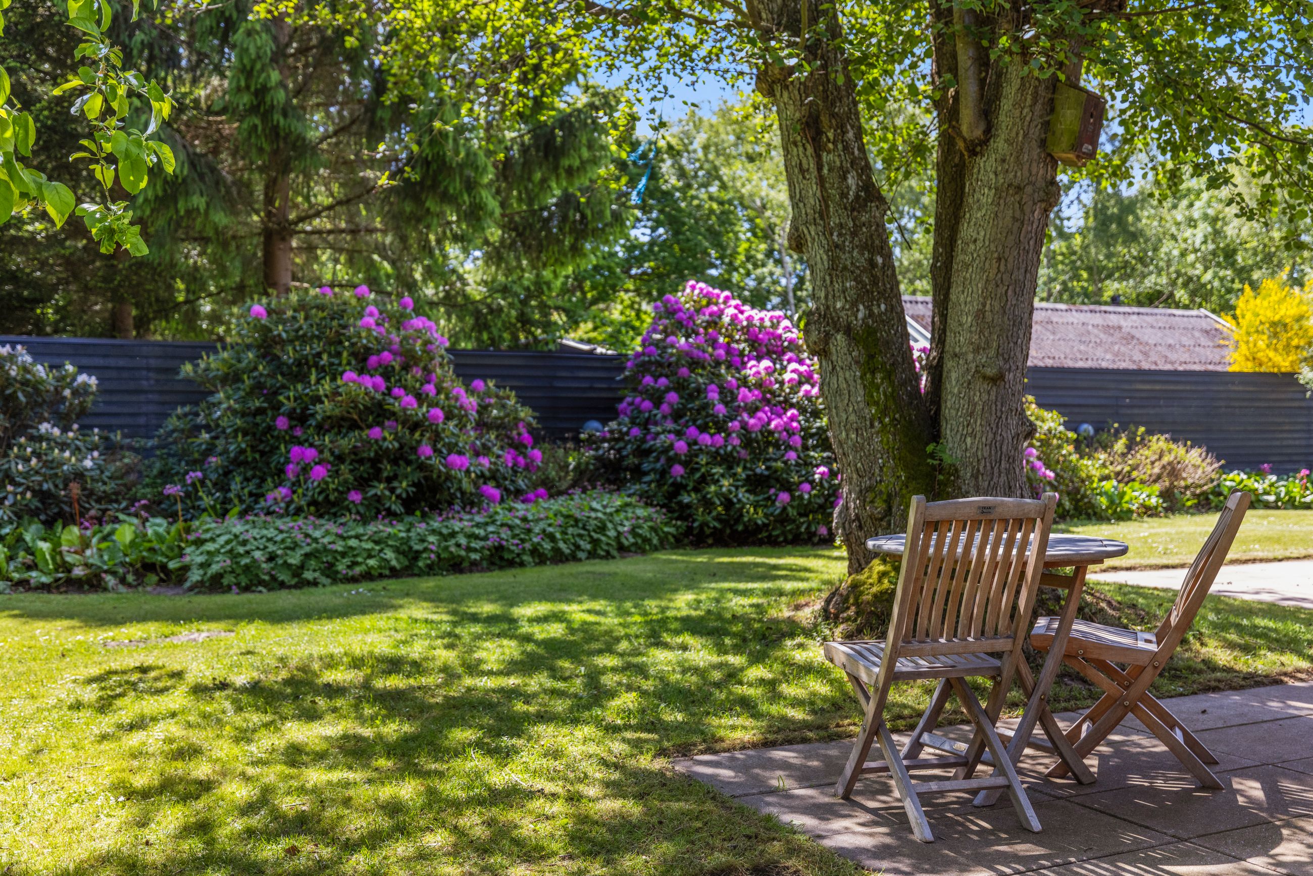 Nyvej 148, Frederiksværk - 633A1369.jpg