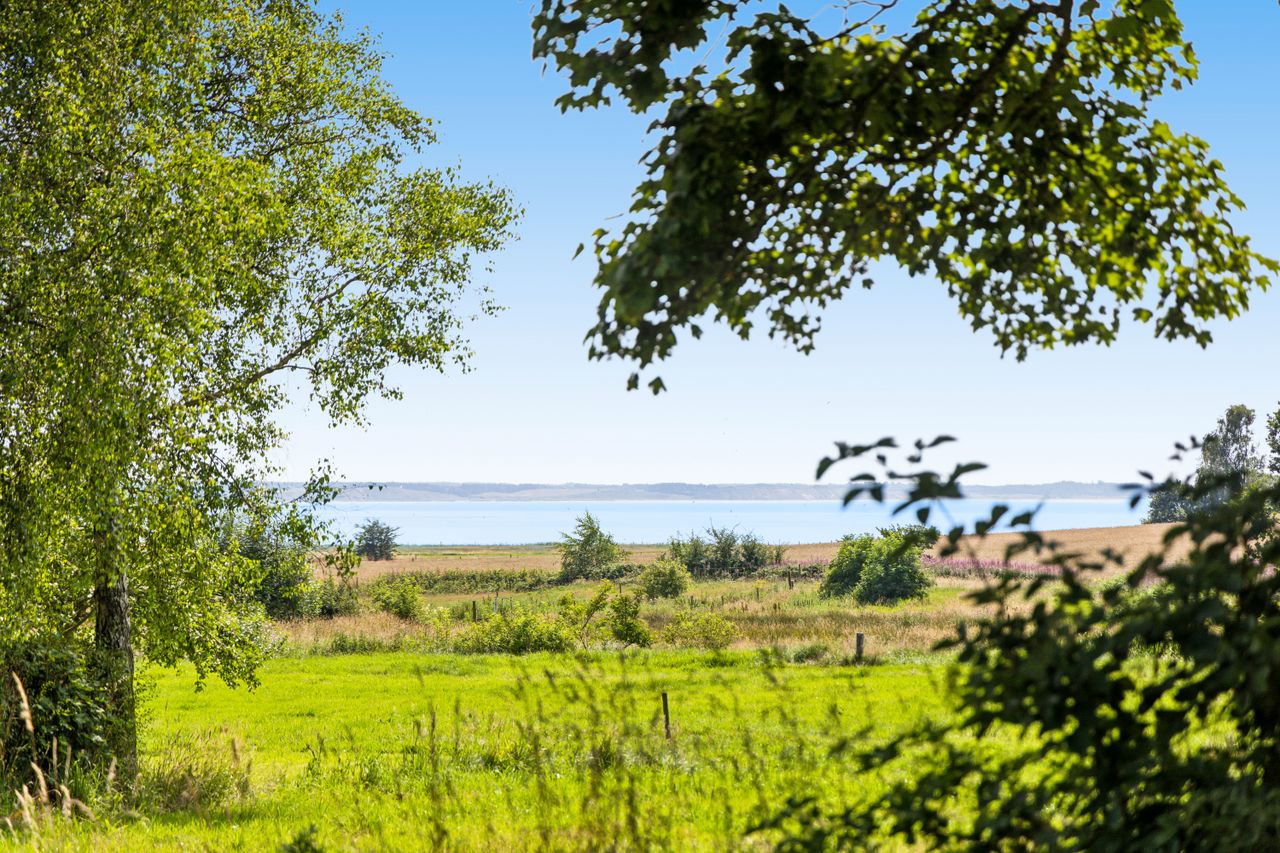 Ejendomsbillede 3 af 38