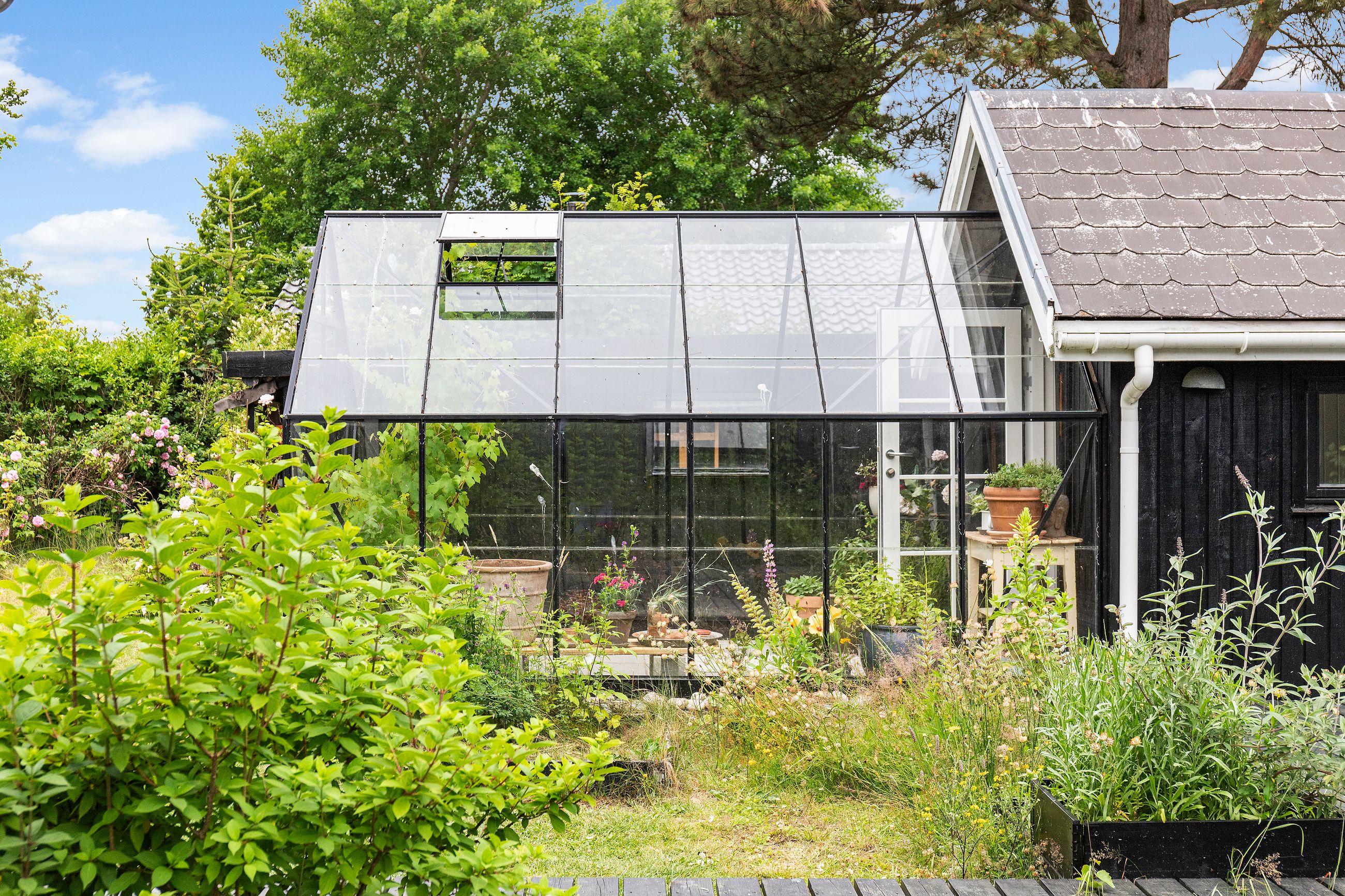 Solbakkevej 51, Hornbæk - Område