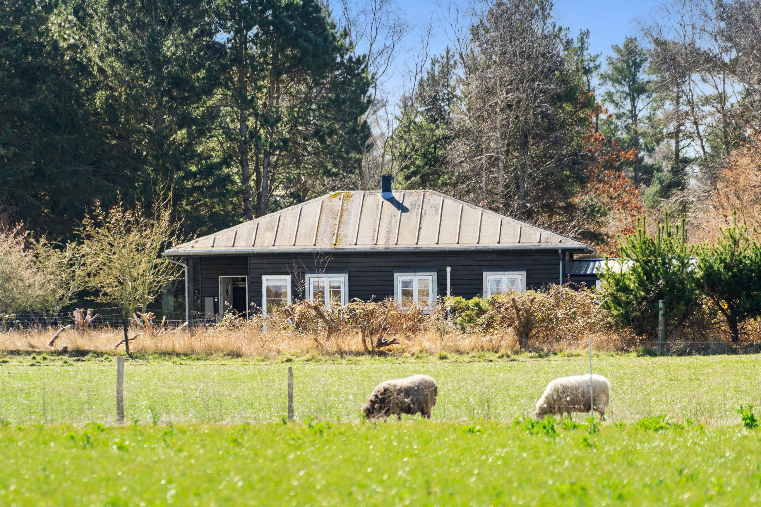 Spurvevej 3, Rørvig - Ejendommen