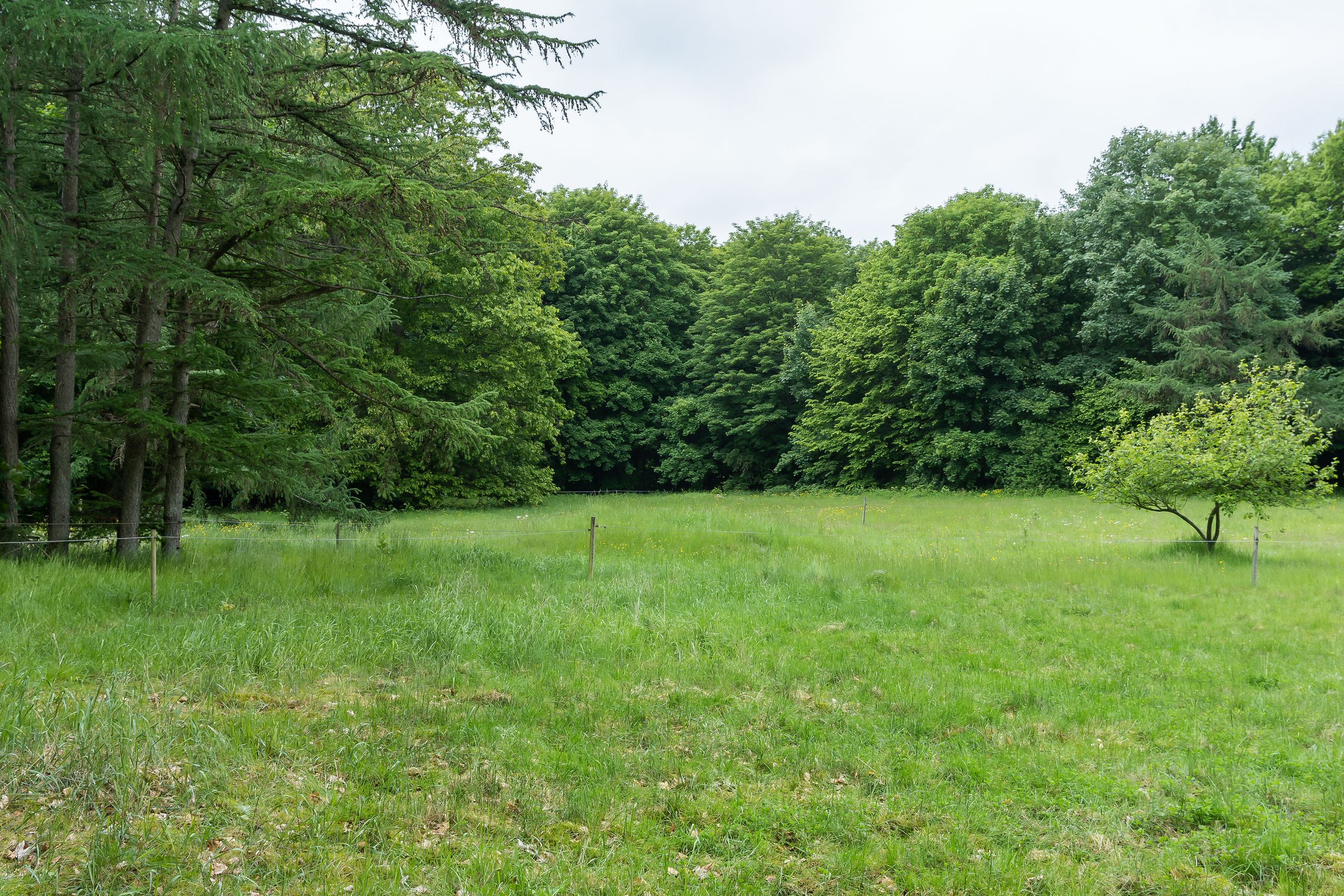 Ørholmvej 61, Kongens Lyngby - DSC04040.jpg