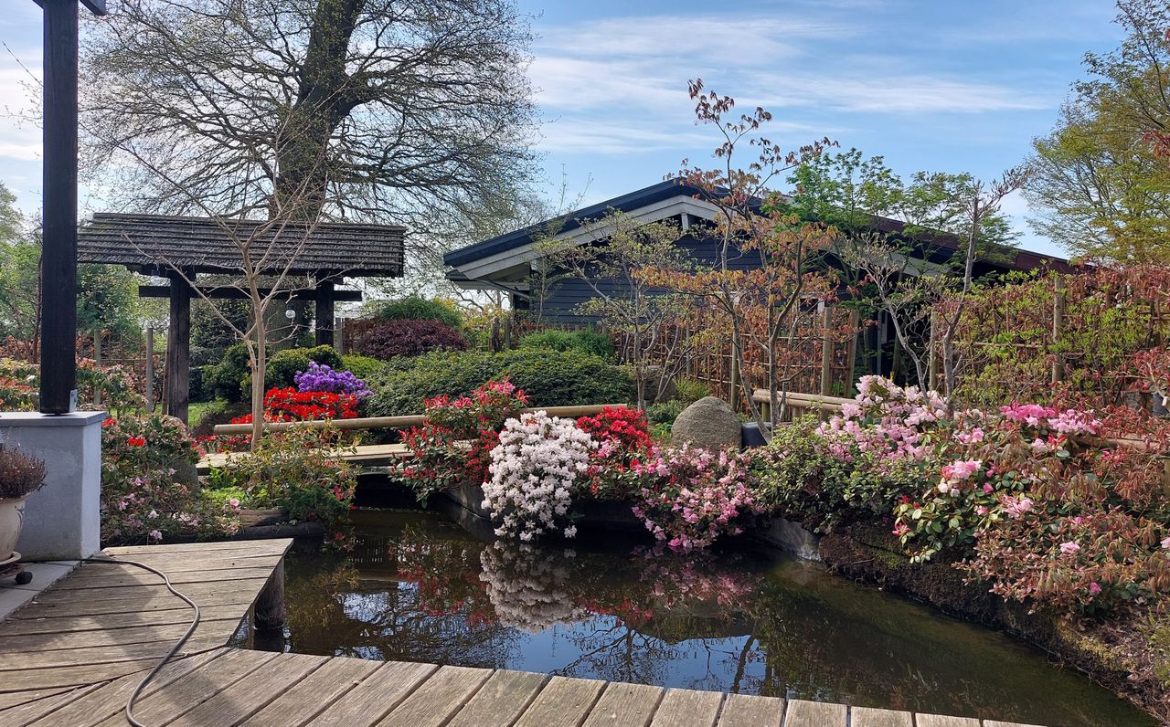 Ejendomsbillede 2 af 46