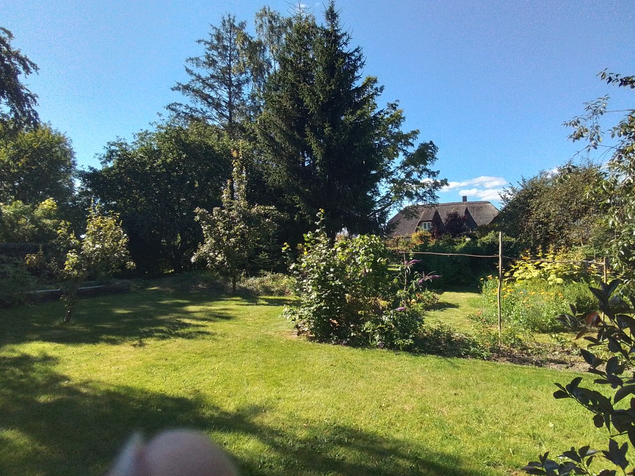 Ejendomsbillede 2 af 11