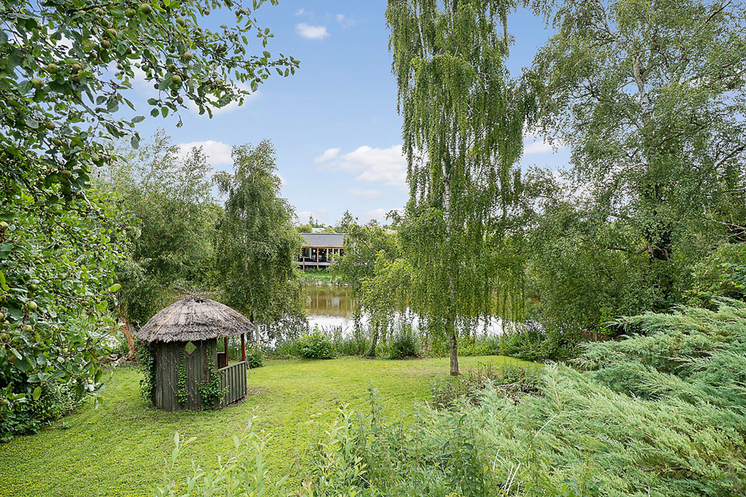 Ebberup Mose 21, Vipperød - 40-Omraade.jpg