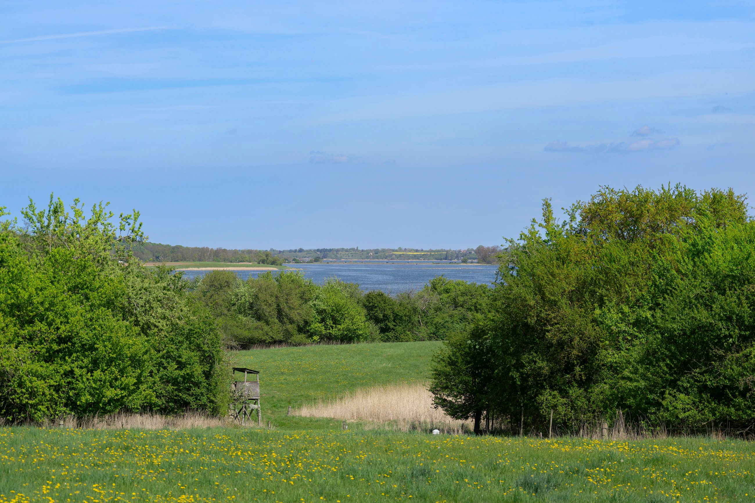 Asserholmvej 3, Vipperød - Område
