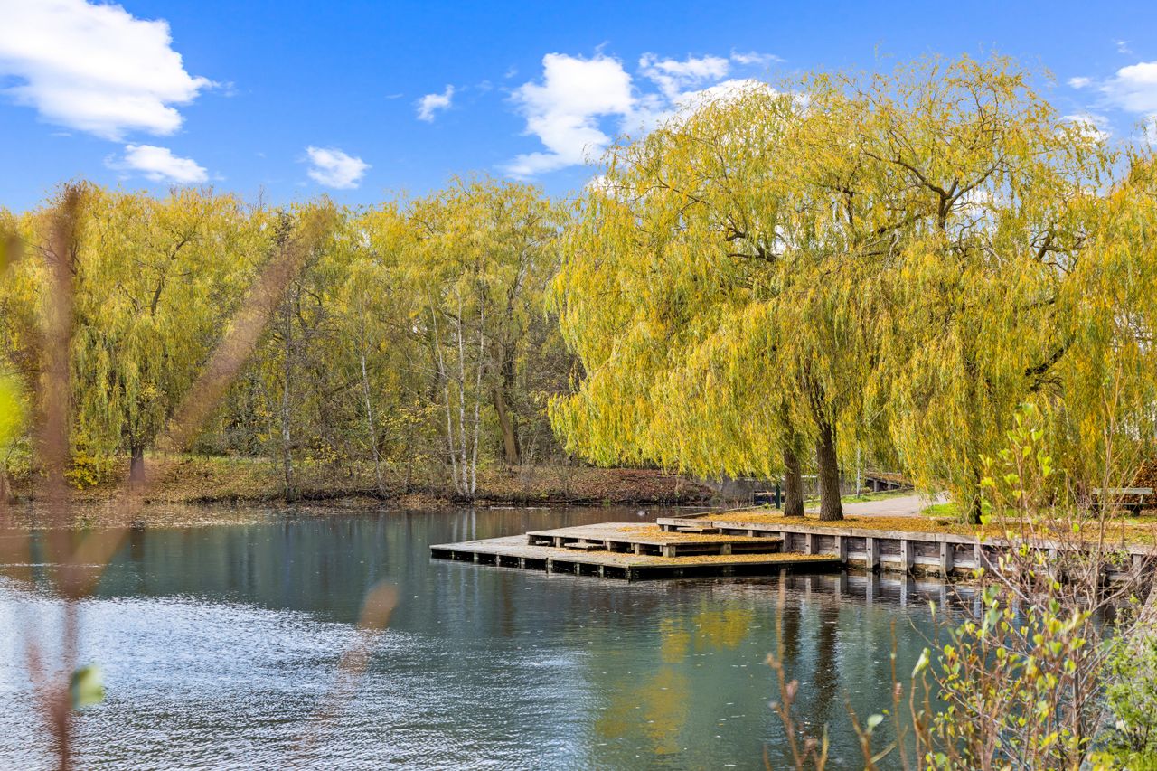 Ejendomsbillede 2 af 36