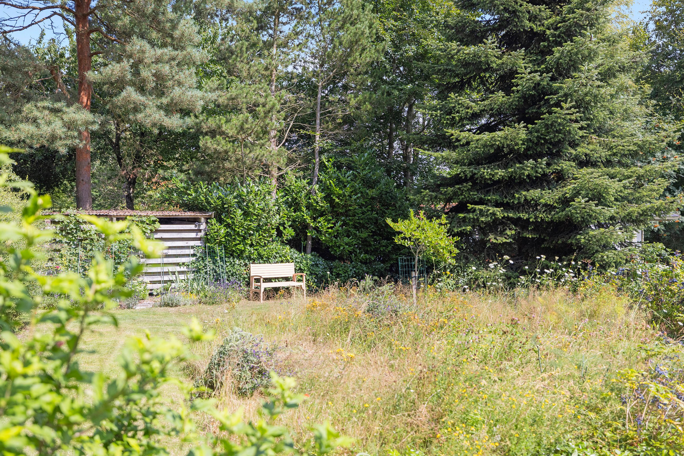 Riishøj-Åsen 8, Rågeleje, Vejby - 633A4633 kopier.jpg