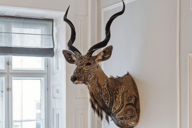 Dronningens Tværgade 12, 1