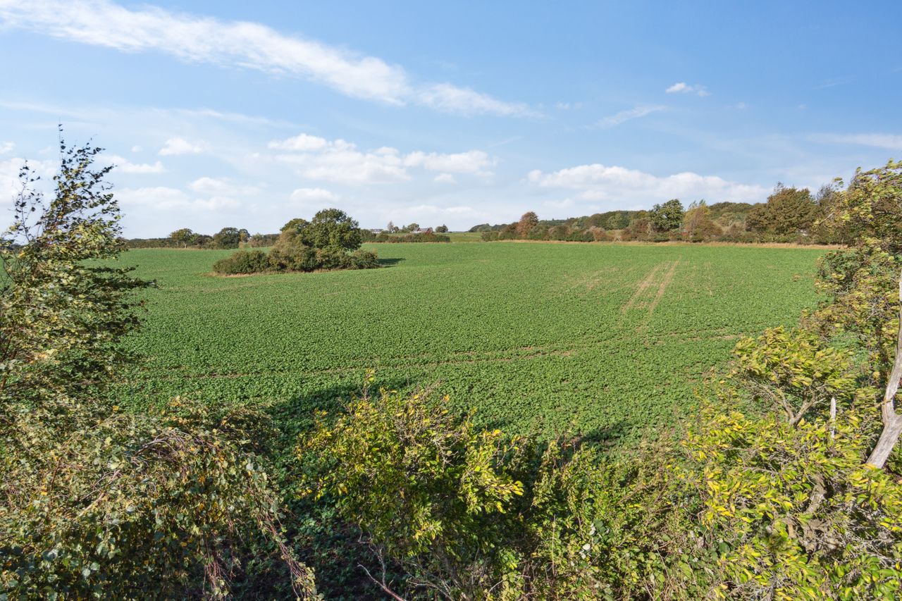 Ejendomsbillede 2 af 15