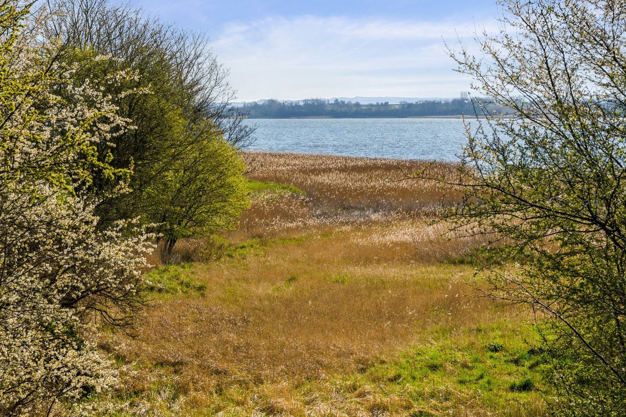 Ejendomsbillede 3 af 11