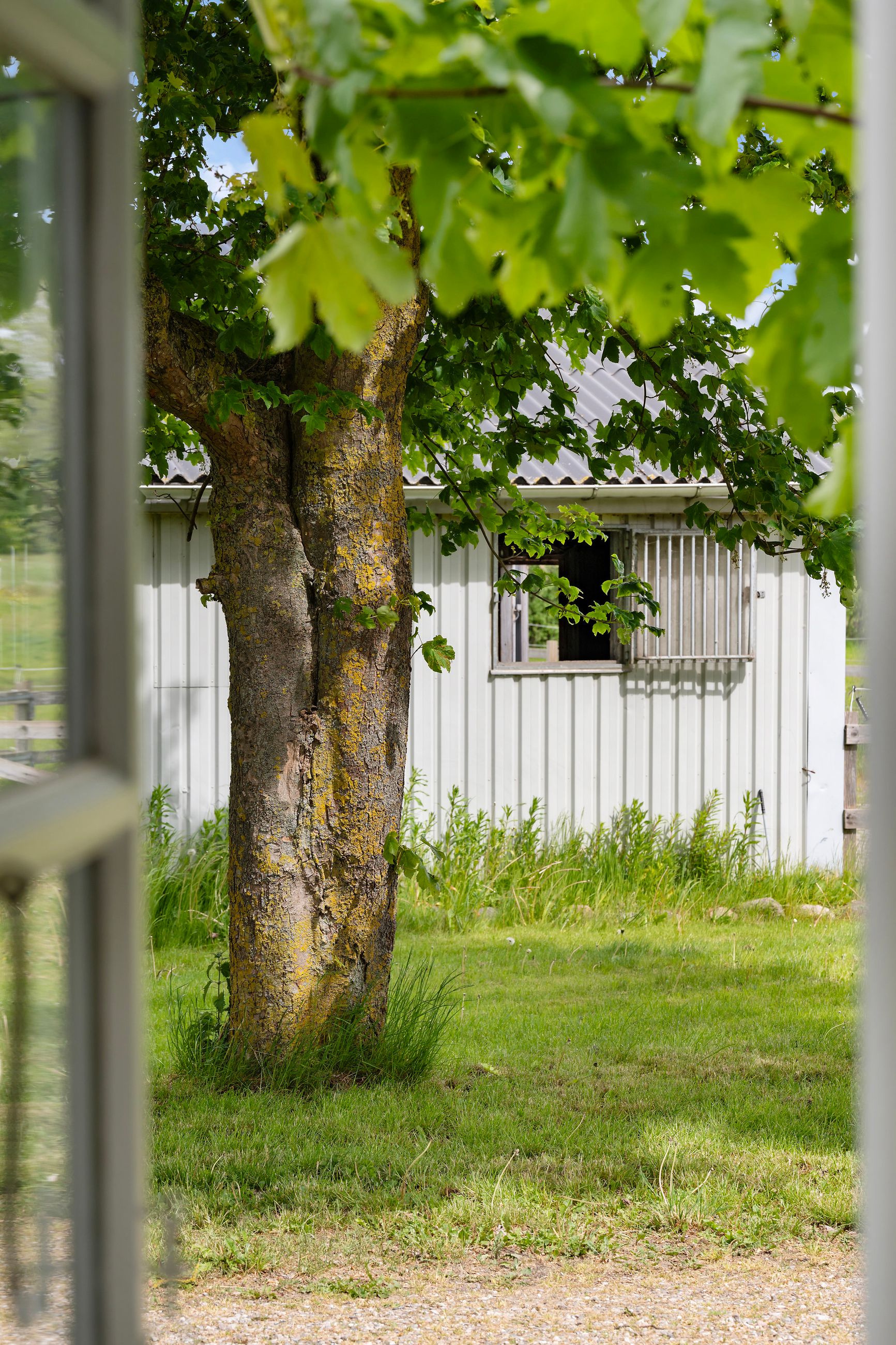 Lindebjergvej 4, Skævinge - 20250905T091549_34
