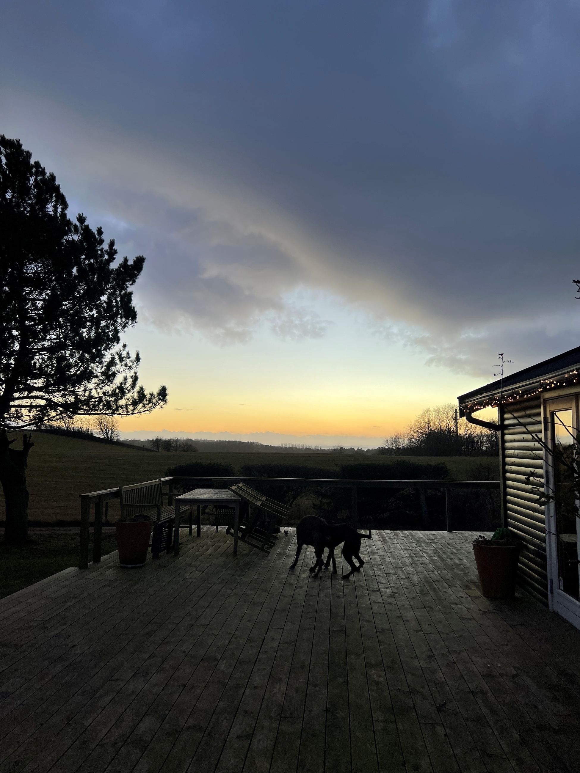 Vidarshøj 2, Veddinge, Fårevejle - Vidarshøj