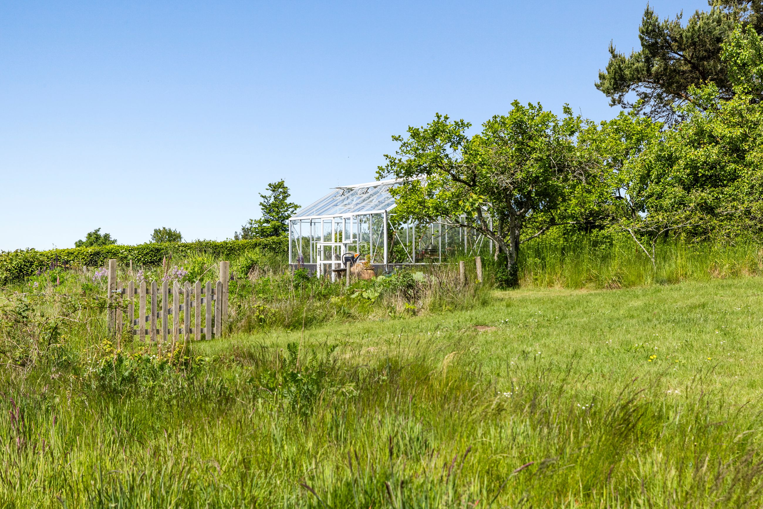 Bregnerødvej 30, Gilleleje - 633A1058.jpg