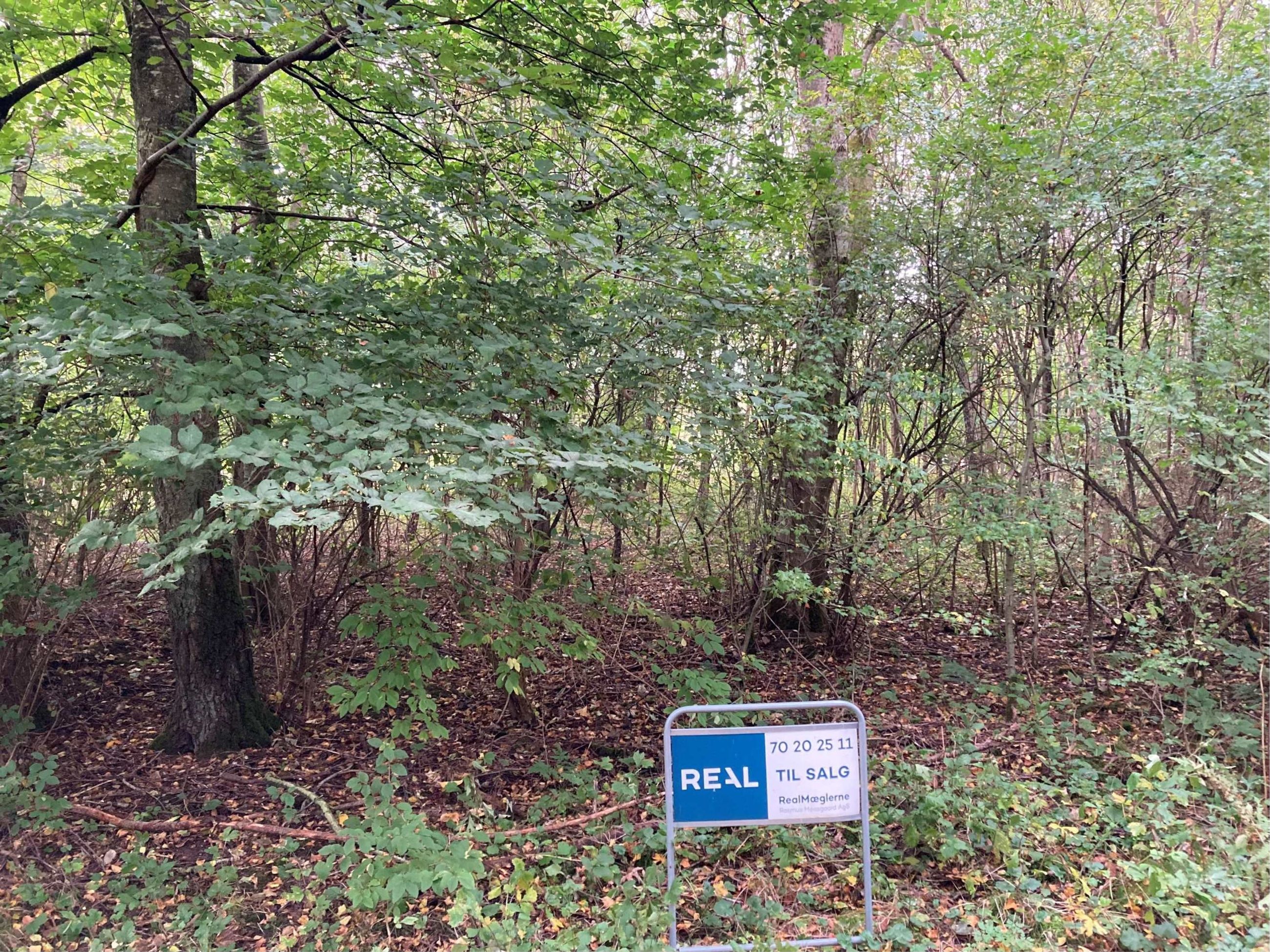 Lounsgaardvej 26, Lovns Grund
