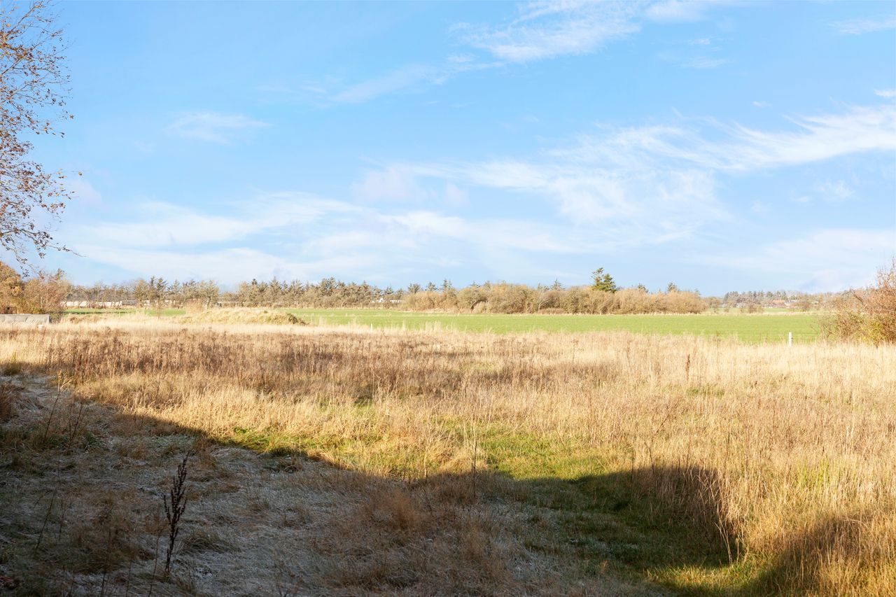 Ejendomsbillede 3 af 24