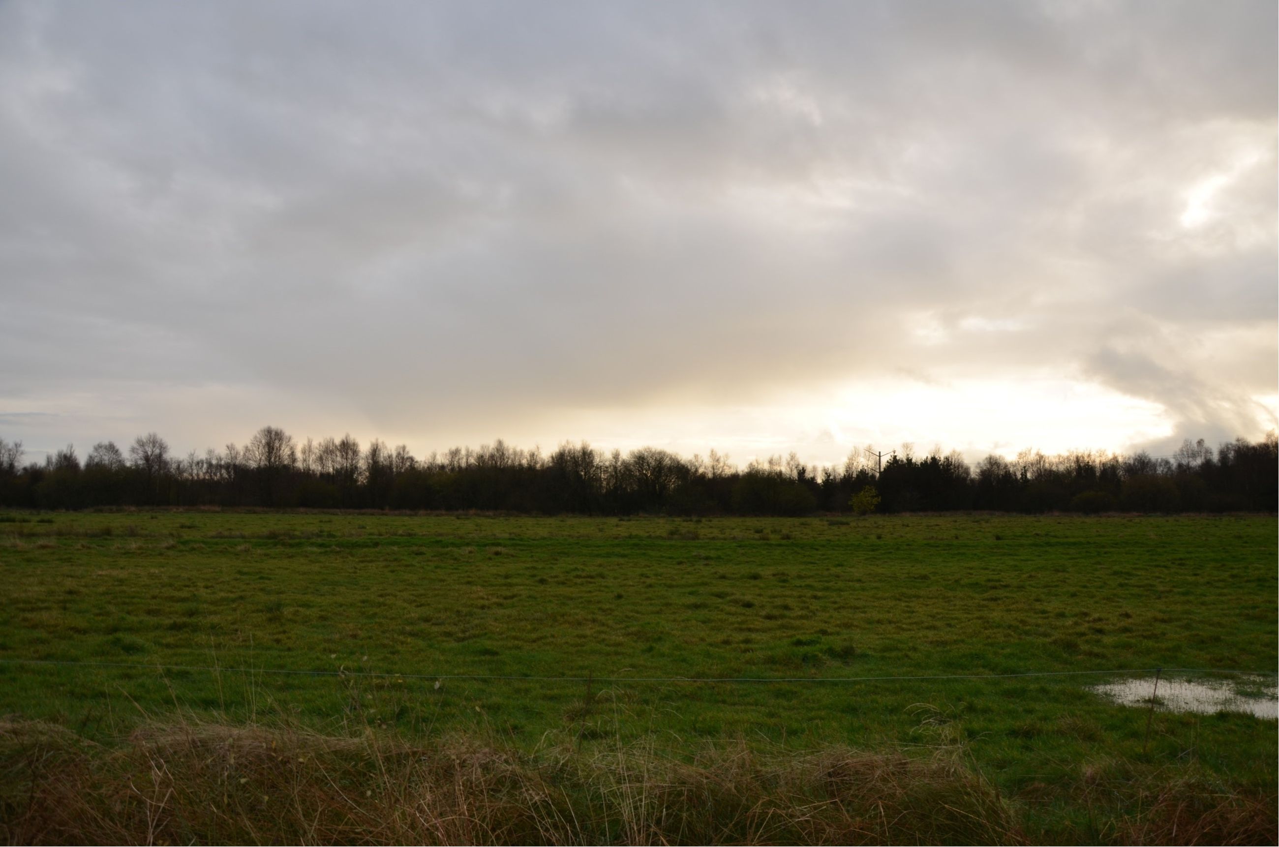 Østermosevej 2B Landbrug