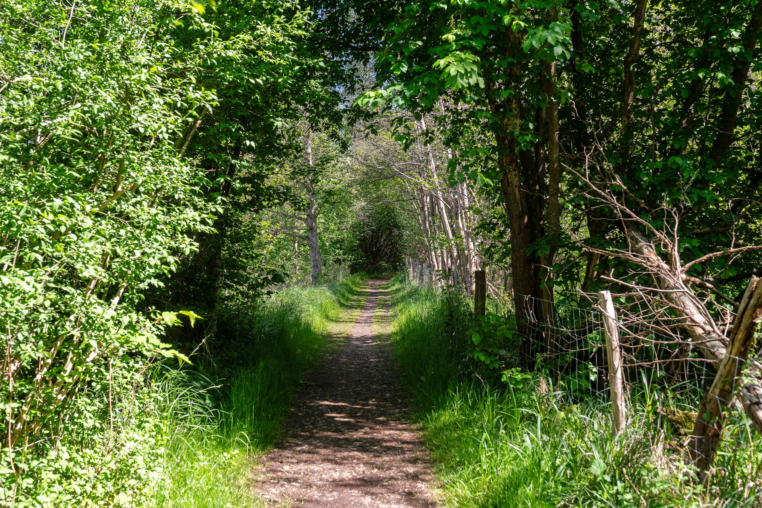 Hestetangsvej 149, Farum - Område