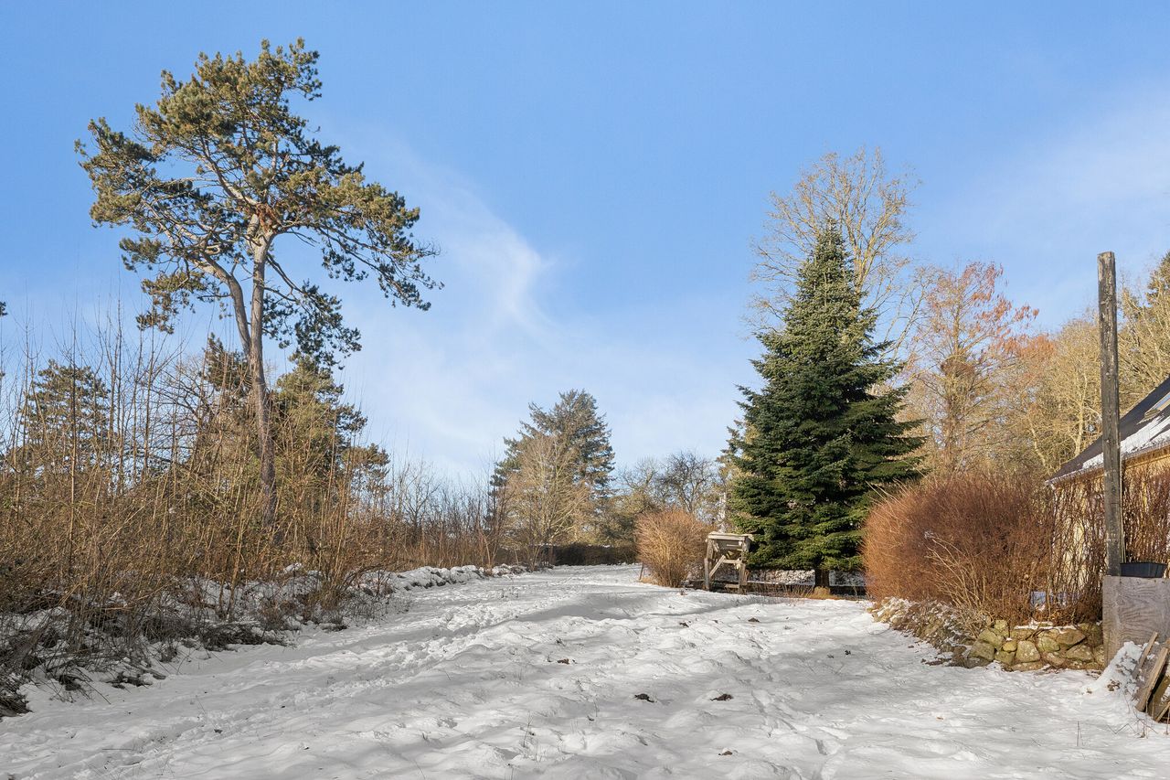 Ejendomsbillede 2 af 32